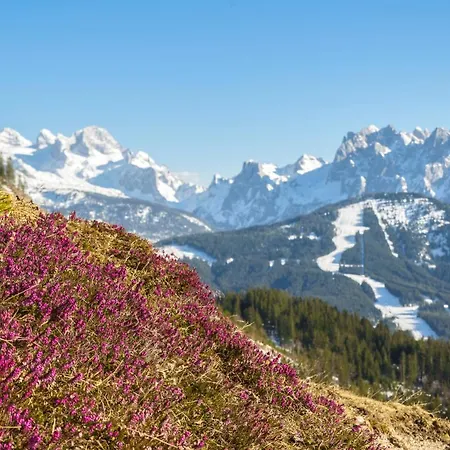 Gaestehaus Saegemuehle Guest house Russbach am Pass Gschuett