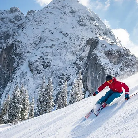 Penzion Gaestehaus Saegemuehle Russbach am Pass Gschütt