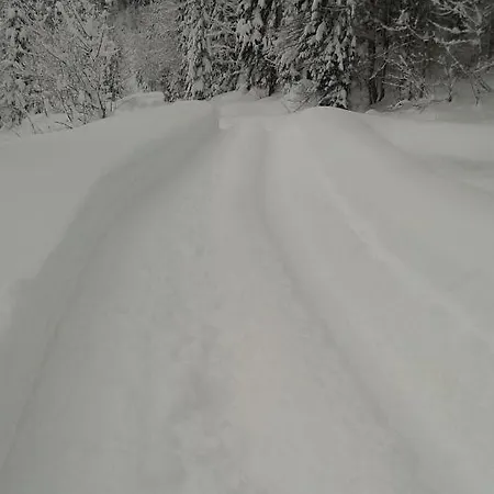 Πανσιόν Gaestehaus Saegemuehle 3*