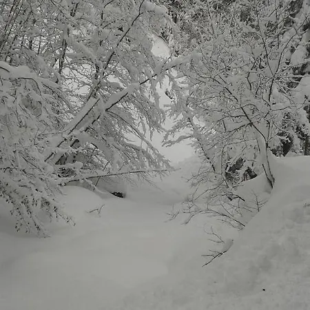 Gaestehaus Saegemuehle Penzion 3*