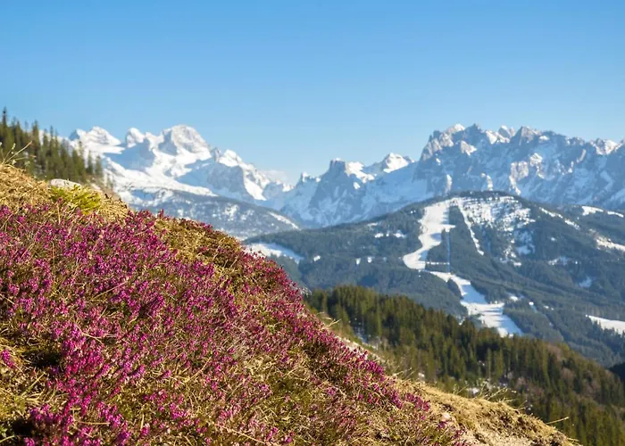 Gaestehaus Saegemuehle Affittacamere Russbach am Pass Gschütt