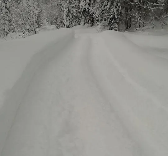 Gasthof Gaestehaus Saegemuehle 3*
